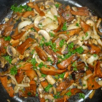 Wild Mushrooms Stew